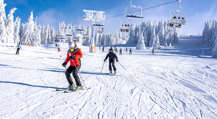 Ship Skis, a ski and snowboard service was recently featured in Huffington Posr