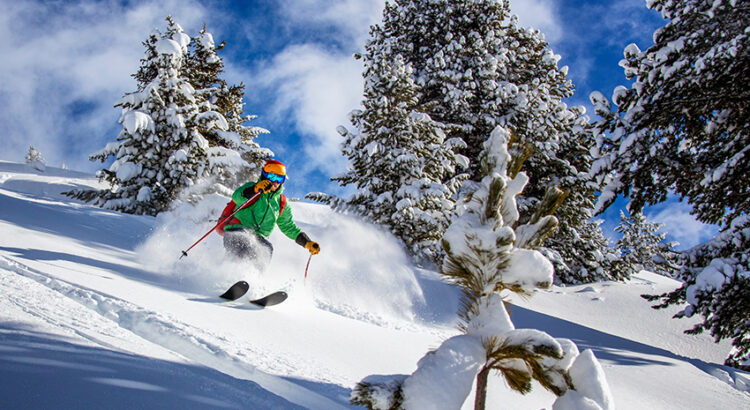 Resorts for tree skiing