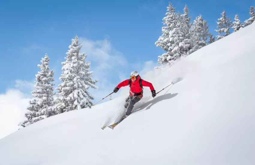 alpine skiing