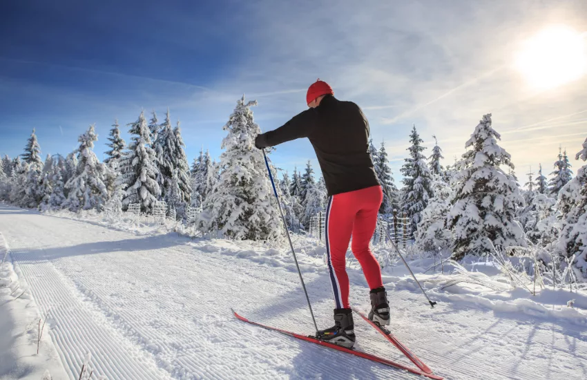 nordic skiing