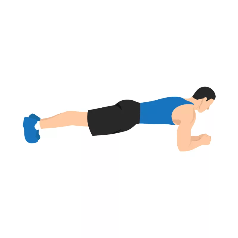 Planks