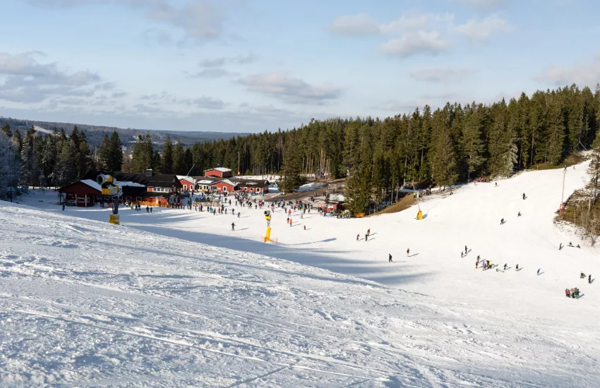 Skiing in sweden
