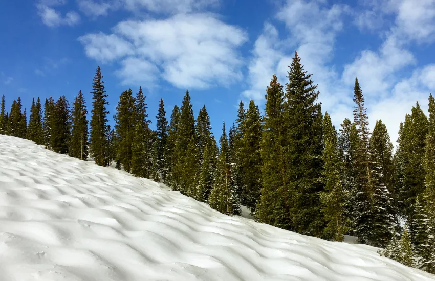 moguls skiing